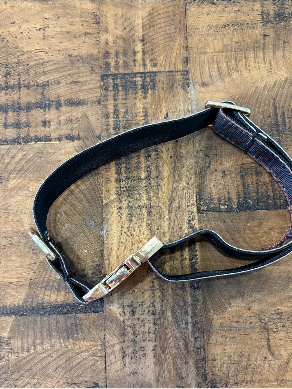 Designer-Inspired Fabric Dog Collar with Gold Hardware